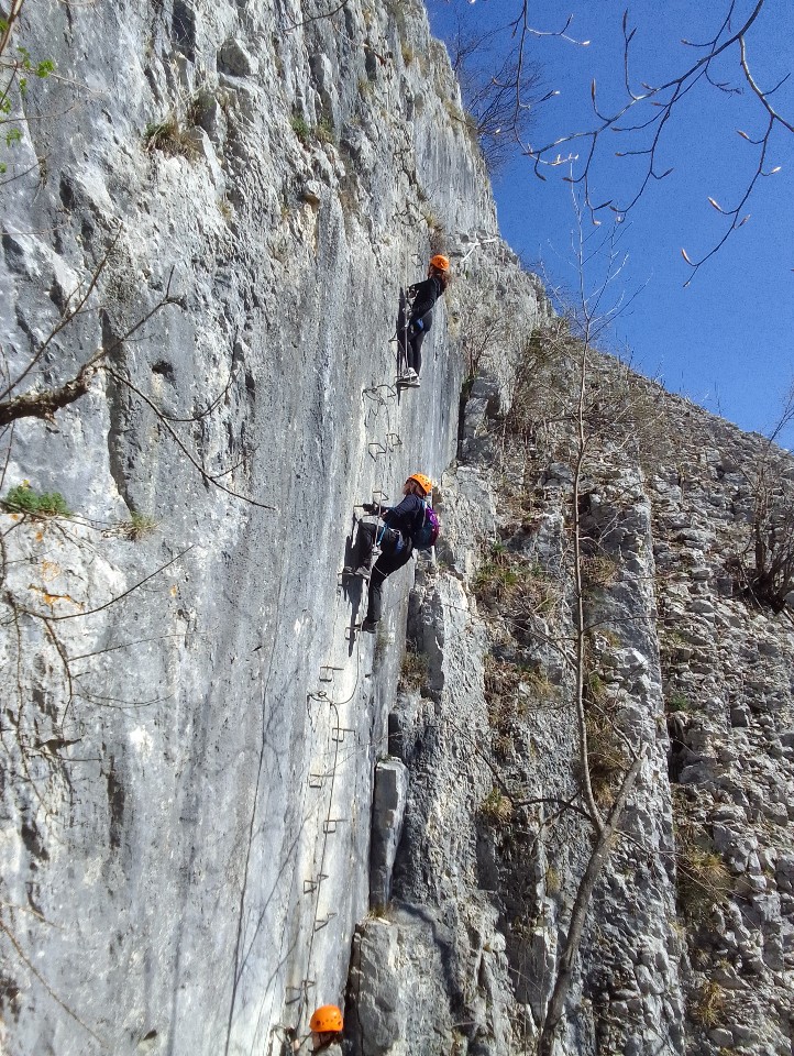 Morez